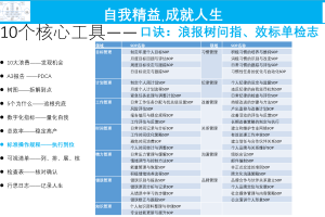 自我精益核心工具之标准操规SOP——执行到位